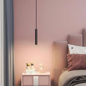 Modern Ideas Simple Cylinder Chandelier LED lamp